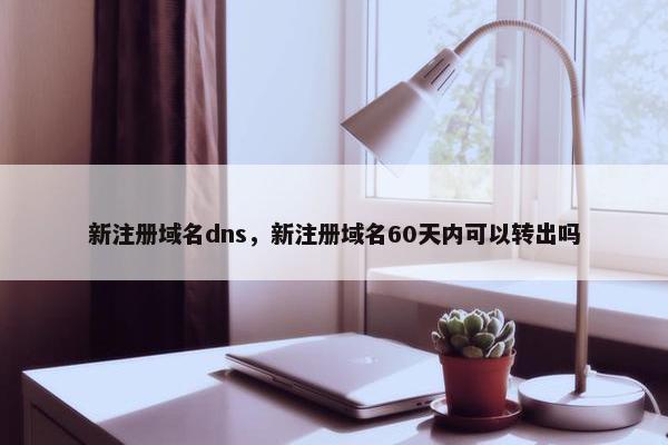 新注册域名dns，新注册域名60天内可以转出吗