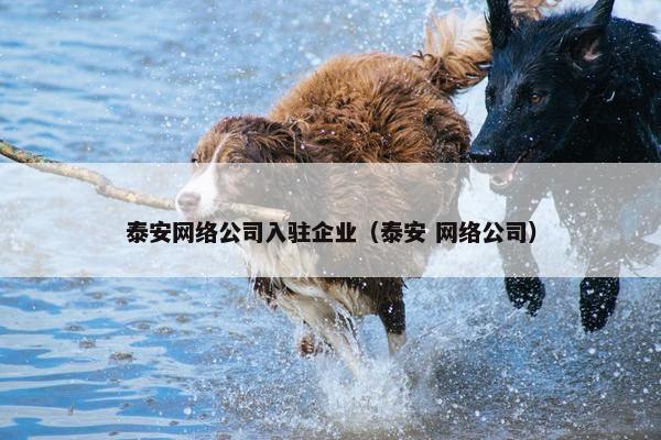 泰安网络公司入驻企业（泰安 网络公司）