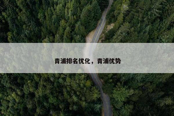 青浦排名优化，青浦优势