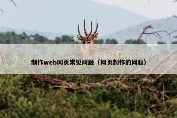 制作web网页常见问题（网页制作的问题）