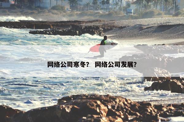 网络公司寒冬？ 网络公司发展？