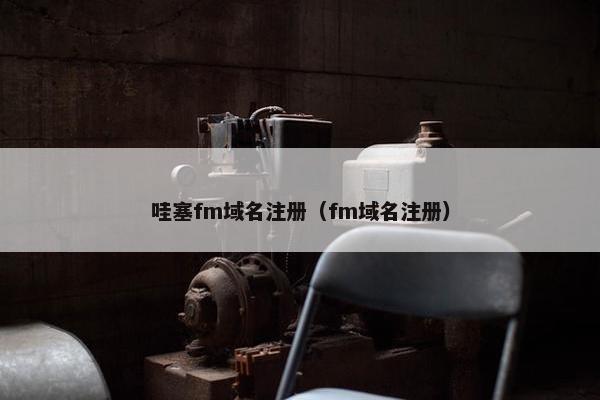 哇塞fm域名注册（fm域名注册）