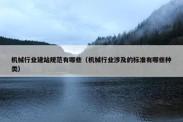 机械行业建站规范有哪些（机械行业涉及的标准有哪些种类）