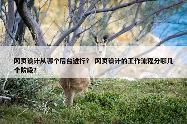 网页设计从哪个后台进行？ 网页设计的工作流程分哪几个阶段？