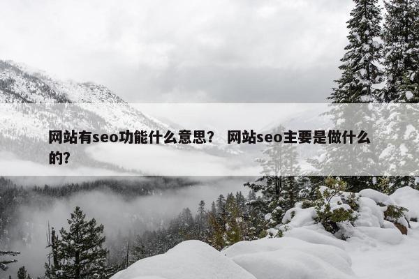 网站有seo功能什么意思？ 网站seo主要是做什么的？