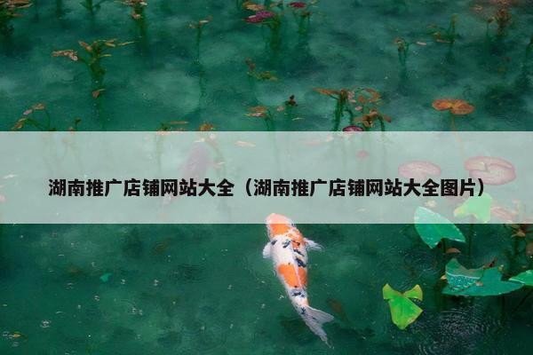 湖南推广店铺网站大全（湖南推广店铺网站大全图片）