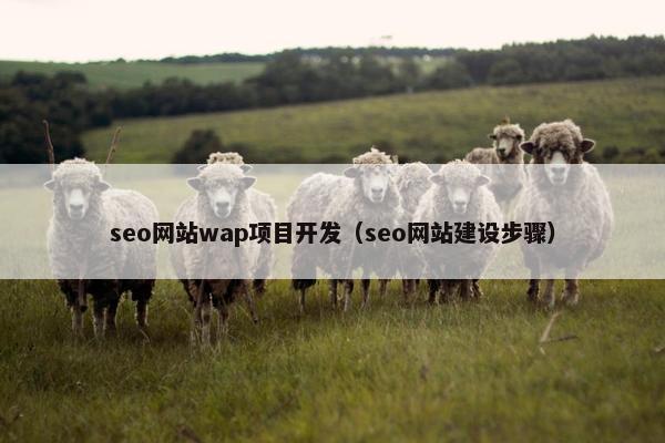 seo网站wap项目开发（seo网站建设步骤）