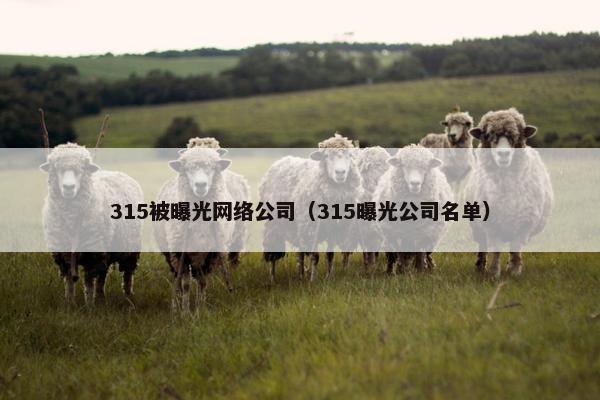 315被曝光网络公司（315曝光公司名单）