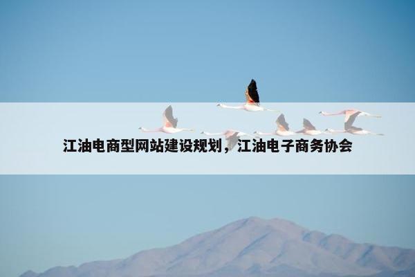 江油电商型网站建设规划，江油电子商务协会