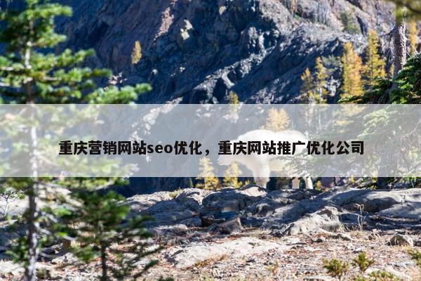 重庆营销网站seo优化，重庆网站推广优化公司