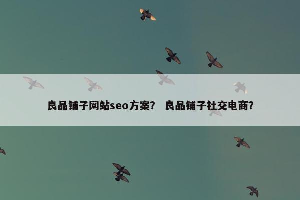 良品铺子网站seo方案？ 良品铺子社交电商？