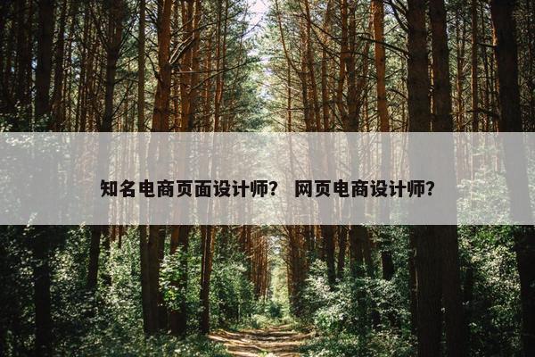知名电商页面设计师？ 网页电商设计师？