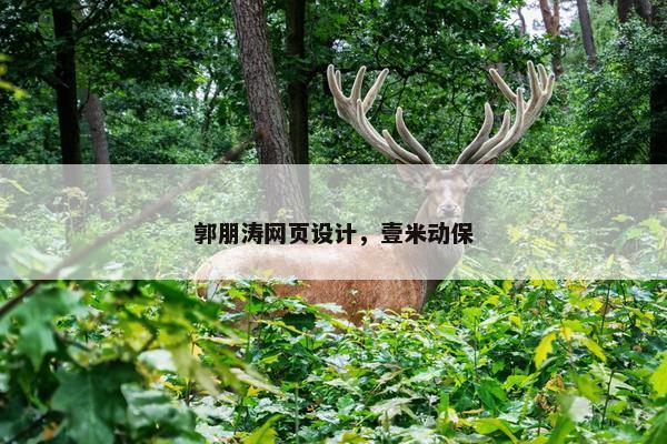 郭朋涛网页设计，壹米动保