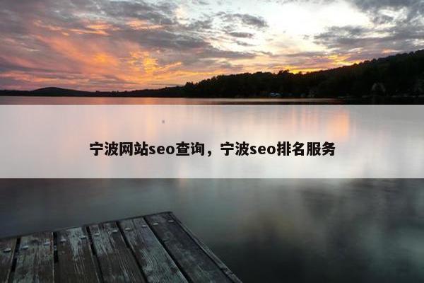宁波网站seo查询，宁波seo排名服务