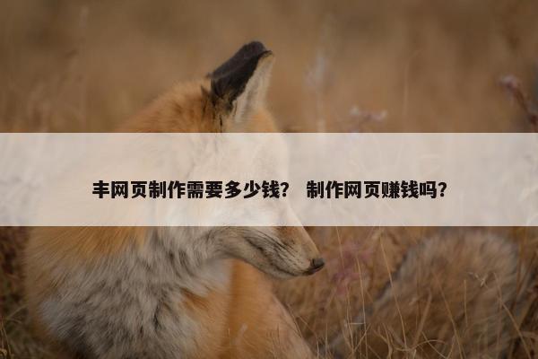 丰网页制作需要多少钱？ 制作网页赚钱吗？