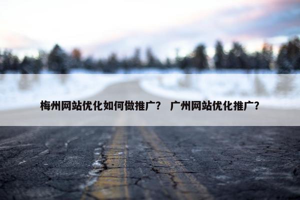 梅州网站优化如何做推广？ 广州网站优化推广？