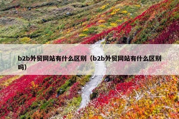 b2b外贸网站有什么区别（b2b外贸网站有什么区别吗）