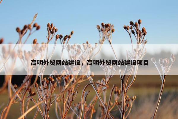 高明外贸网站建设，高明外贸网站建设项目