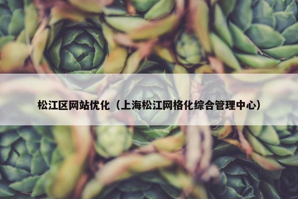 松江区网站优化（上海松江网格化综合管理中心）