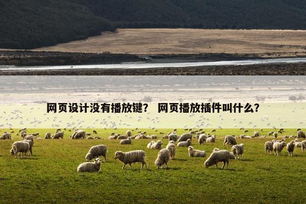 网页设计没有播放键？ 网页播放插件叫什么？