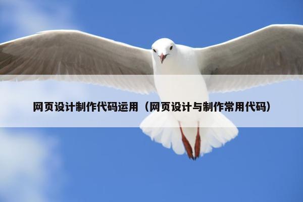 网页设计制作代码运用（网页设计与制作常用代码）