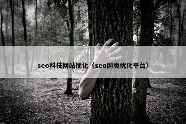 seo科技网站优化（seo网页优化平台）