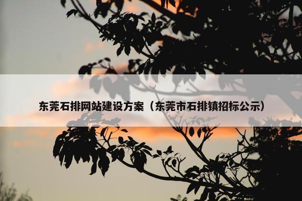 东莞石排网站建设方案（东莞市石排镇招标公示）
