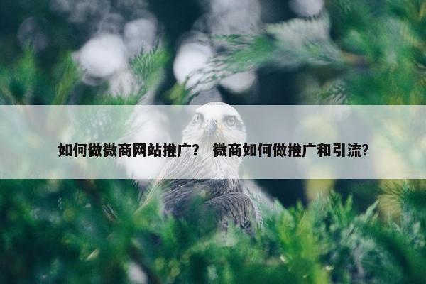 如何做微商网站推广？ 微商如何做推广和引流？