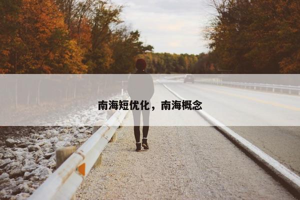 南海短优化，南海概念