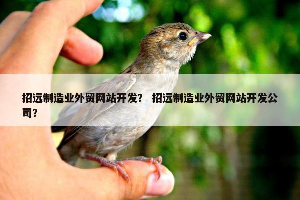 招远制造业外贸网站开发？ 招远制造业外贸网站开发公司？