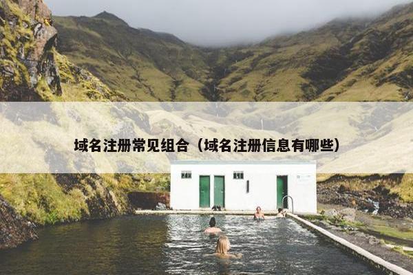 域名注册常见组合（域名注册信息有哪些）