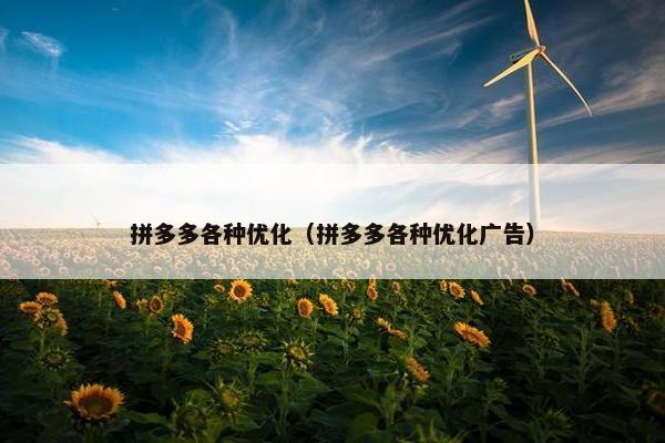 拼多多各种优化（拼多多各种优化广告）