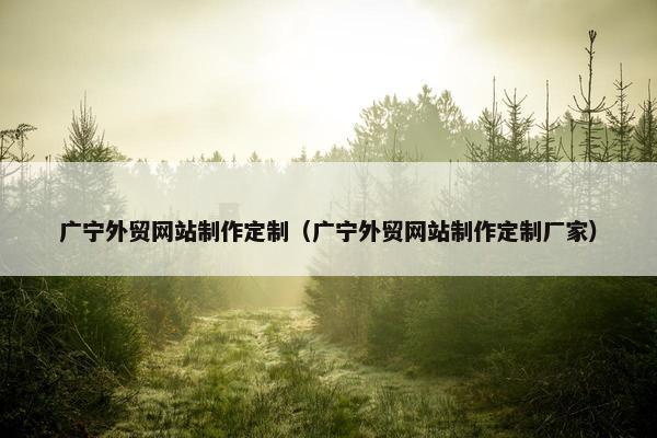 广宁外贸网站制作定制（广宁外贸网站制作定制厂家）