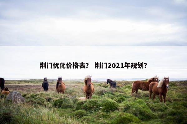 荆门优化价格表？ 荆门2021年规划？