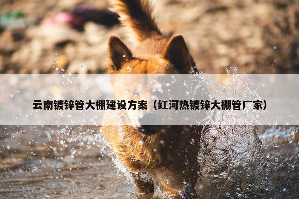 云南镀锌管大棚建设方案（红河热镀锌大棚管厂家）
