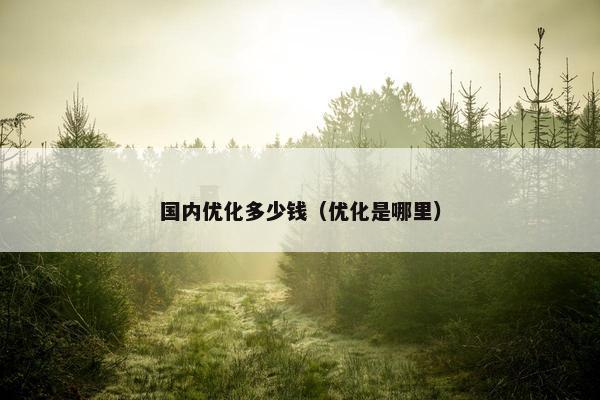 国内优化多少钱（优化是哪里）