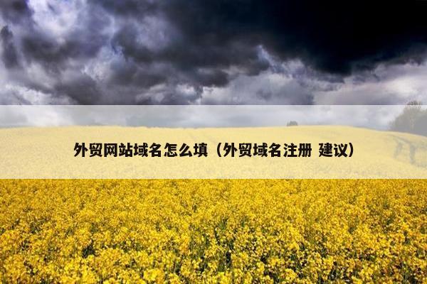 外贸网站域名怎么填（外贸域名注册 建议）