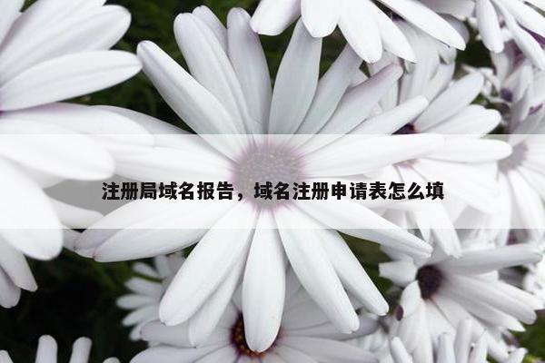 注册局域名报告，域名注册申请表怎么填