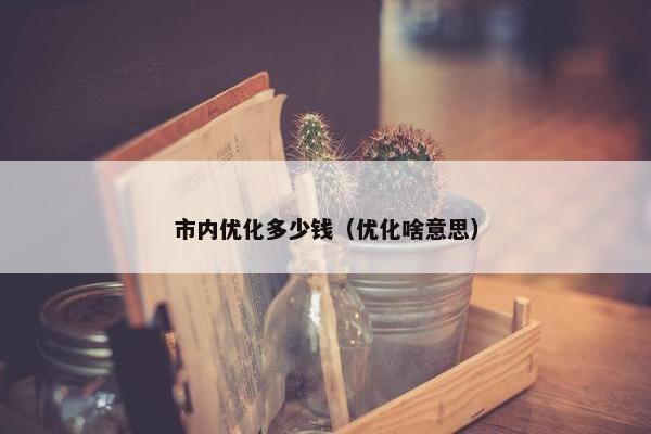 市内优化多少钱（优化啥意思）