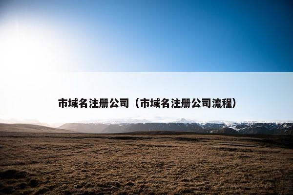 市域名注册公司（市域名注册公司流程）