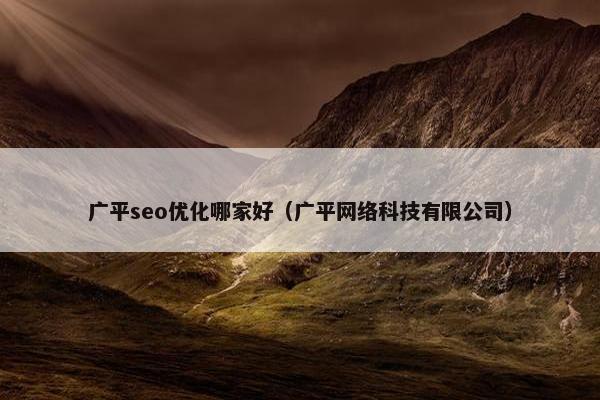 广平seo优化哪家好（广平网络科技有限公司）