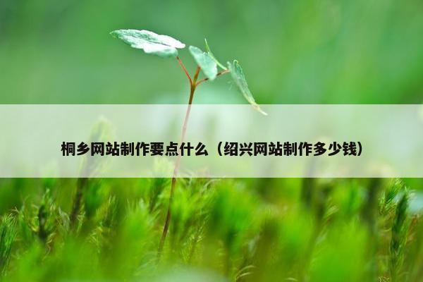 桐乡网站制作要点什么（绍兴网站制作多少钱）
