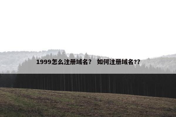 1999怎么注册域名？ 如何注册域名?？