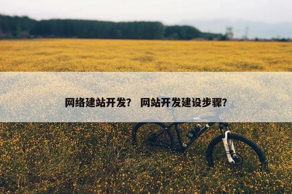 网络建站开发？ 网站开发建设步骤？