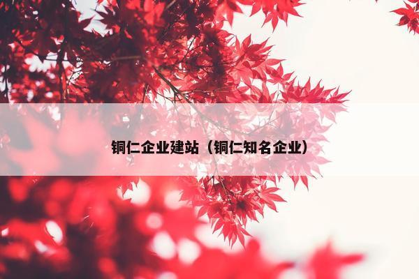 铜仁企业建站（铜仁知名企业）