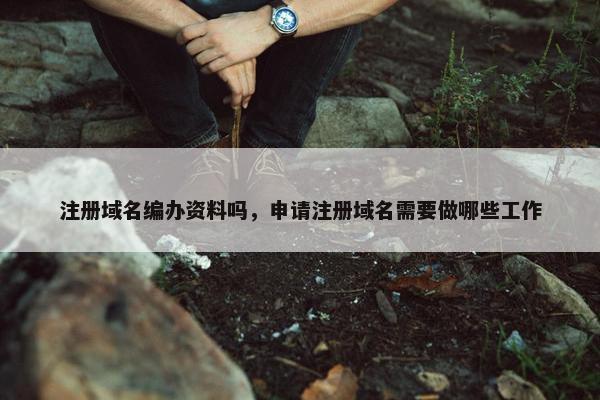 注册域名编办资料吗，申请注册域名需要做哪些工作