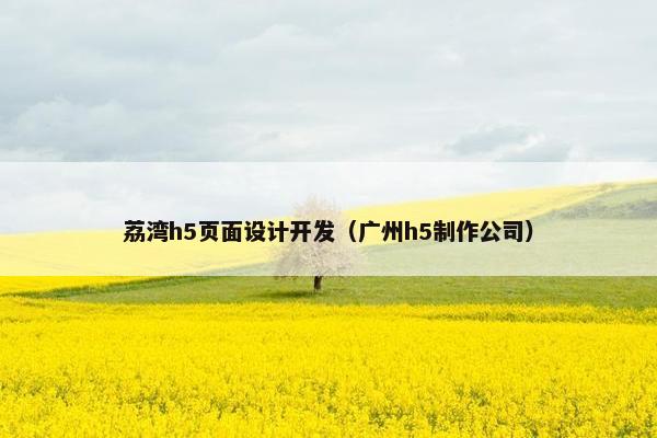 荔湾h5页面设计开发（广州h5制作公司）