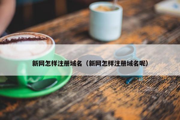 新网怎样注册域名（新网怎样注册域名呢）
