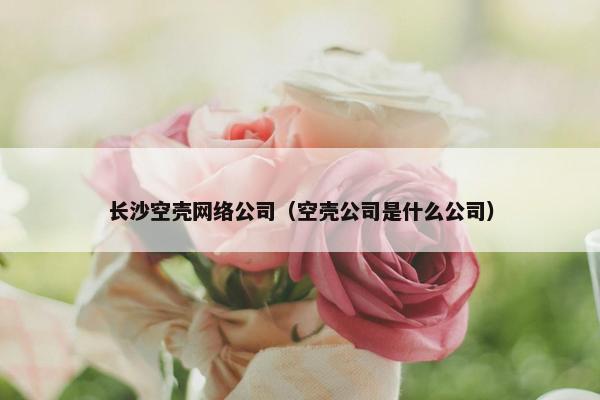 长沙空壳网络公司（空壳公司是什么公司）