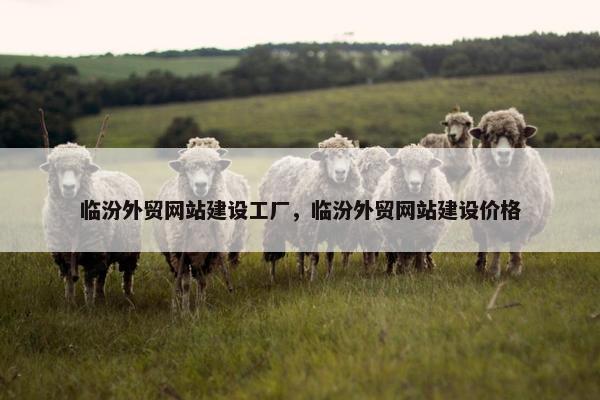 临汾外贸网站建设工厂，临汾外贸网站建设价格